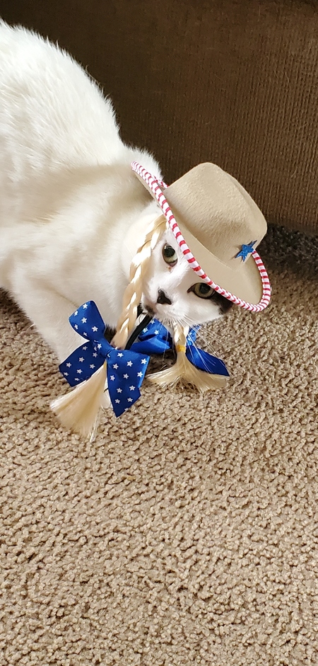 Foofoo