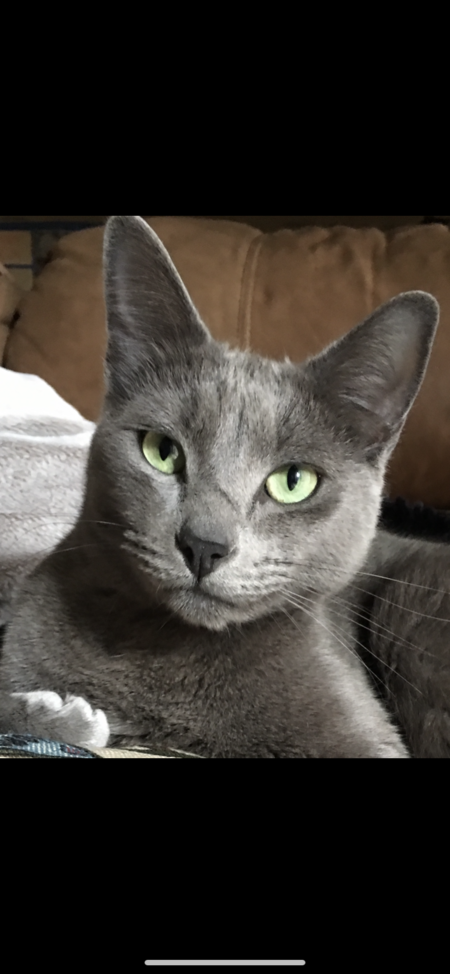 El Guapo