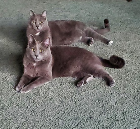 Ernie and Bert