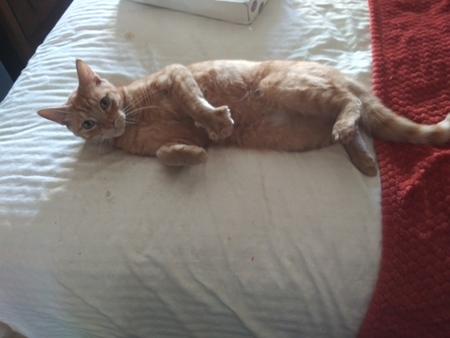Rusty