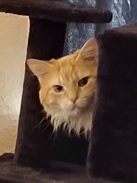 Sam