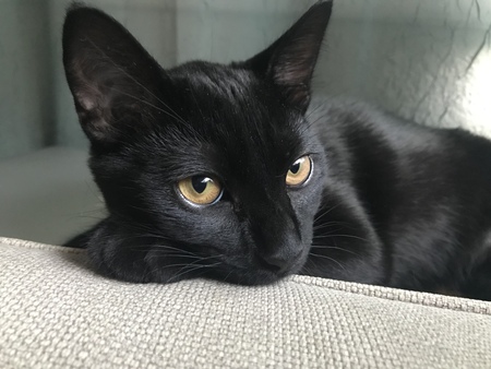 Eleanor 