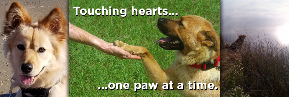 Banner for Lost To Loved…MAMAS 2023 Calendar Contest