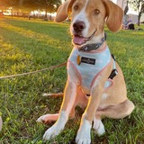 Entry image for Lucy