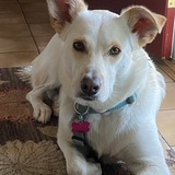 Entry image for Lucy