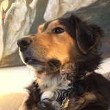 Entry image for Abby