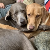 Entry image for Ryker and Hope