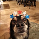 Entry image for Teagan