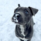 Entry image for Maggie