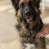 Entry image for Kasper