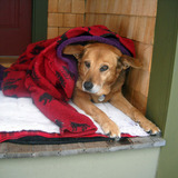 Entry image for Winnie