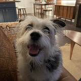 Entry image for Bridgette