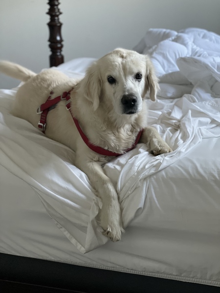 Entry image for Walter. Clicking this image will show a larger photo