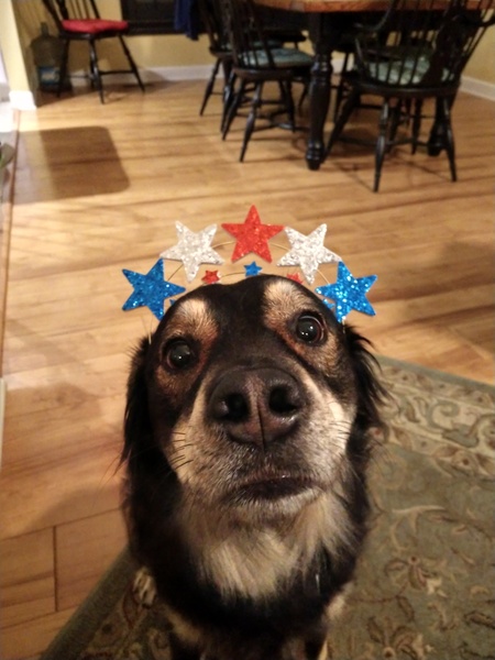 Entry image for Teagan. Clicking this image will show a larger photo