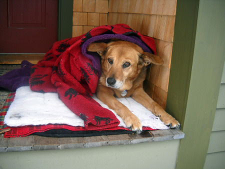 Entry image for Winnie. Clicking this image will show a larger photo