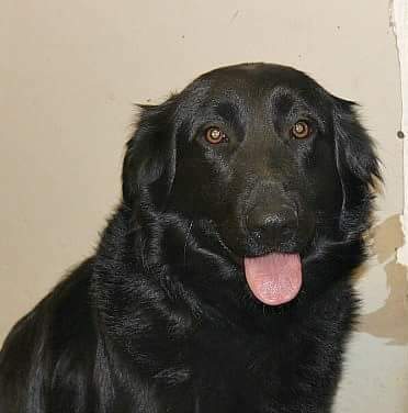 Entry image for Shannon. Clicking this image will show a larger photo