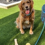 Entry image for Skylar