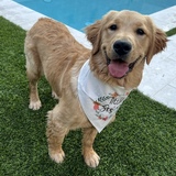 Entry image for Lucky/Sedona