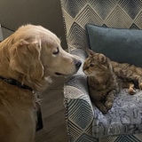 Entry image for River