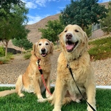 Entry image for Grace and Leo