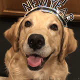 Entry image for Scarlett