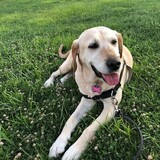 Entry image for Hope