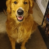 Entry image for Maximus