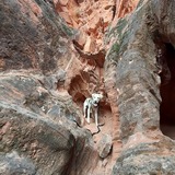 Entry image for Summit