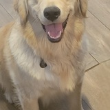 Entry image for Brooks