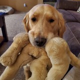 Entry image for Julia aka Juju