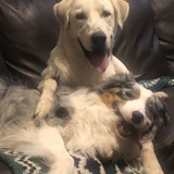 Entry image for RRLV_Sasha and Bella Rose 