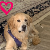 Entry image for Riley