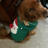 Entry image for Sienna