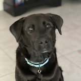 Entry image for Sully