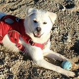 Entry image for Caycie