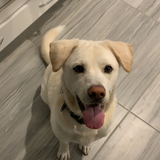 Entry image for Marky 