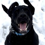 Entry image for Hudson