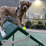 Entry image for Charlie