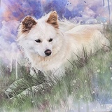 Entry image for Lilah 