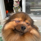 Entry image for Mr. Picklepants 