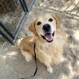 Entry image for Riley