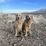 Entry image for Orion