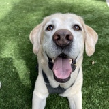 Entry image for Jake 