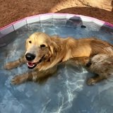 Entry image for Lyric