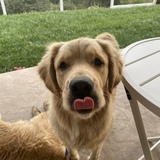 Entry image for Ellie 