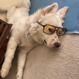 Entry image for Miso