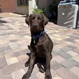 Entry image for Loki