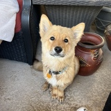 Entry image for Spoon