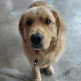 Entry image for Chance Pierce 