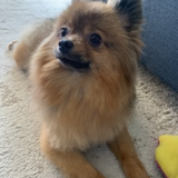 Entry image for Missy